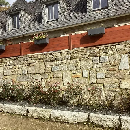 Charmes De La Foret